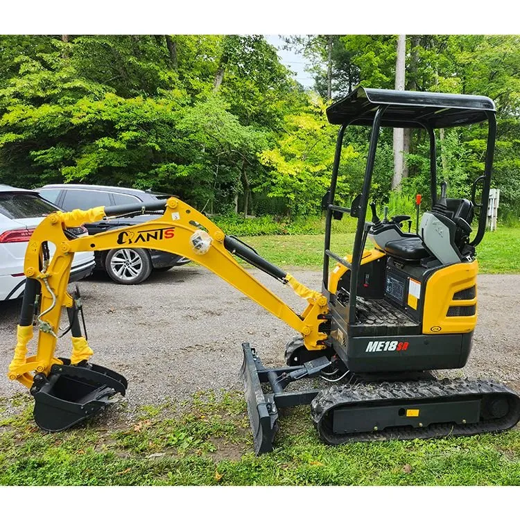 Mini kichik ekskavator